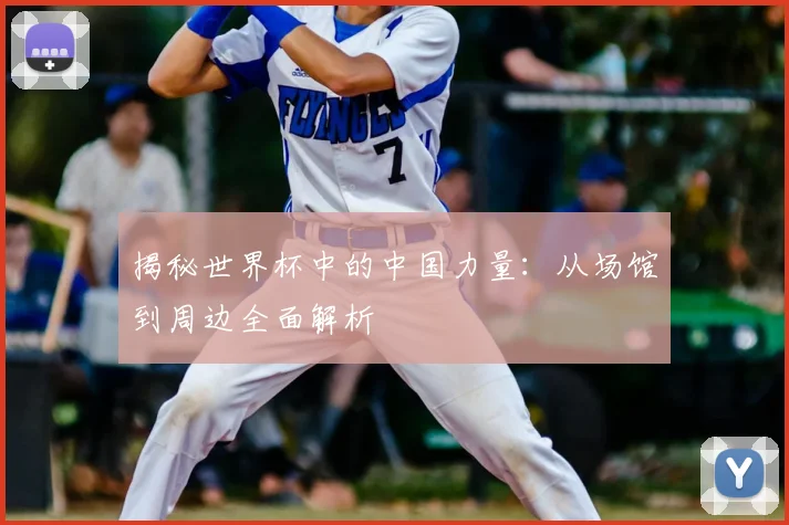 揭秘世界杯中的中国力量：从场馆到周边全面解析