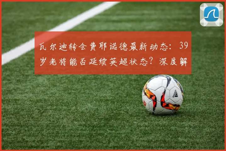 瓦尔迪转会费耶诺德最新动态:39岁老将能否延续英超状态?深度解析