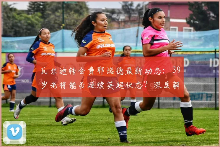 瓦尔迪转会费耶诺德最新动态：39岁老将能否延续英超状态？深度解析